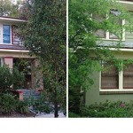 Exterior Paint, landscaping and a window update refresh this home